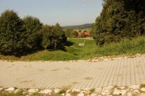 Eine dezentrale Wasserrückhaltung in der Flur in Form einer Mulde mit Gras und seitlich mit Bäumen bewachsen schützt das Dorf vor Oberflächenwasser.